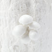 Villa & House Branch Vase by Bungalow 5
