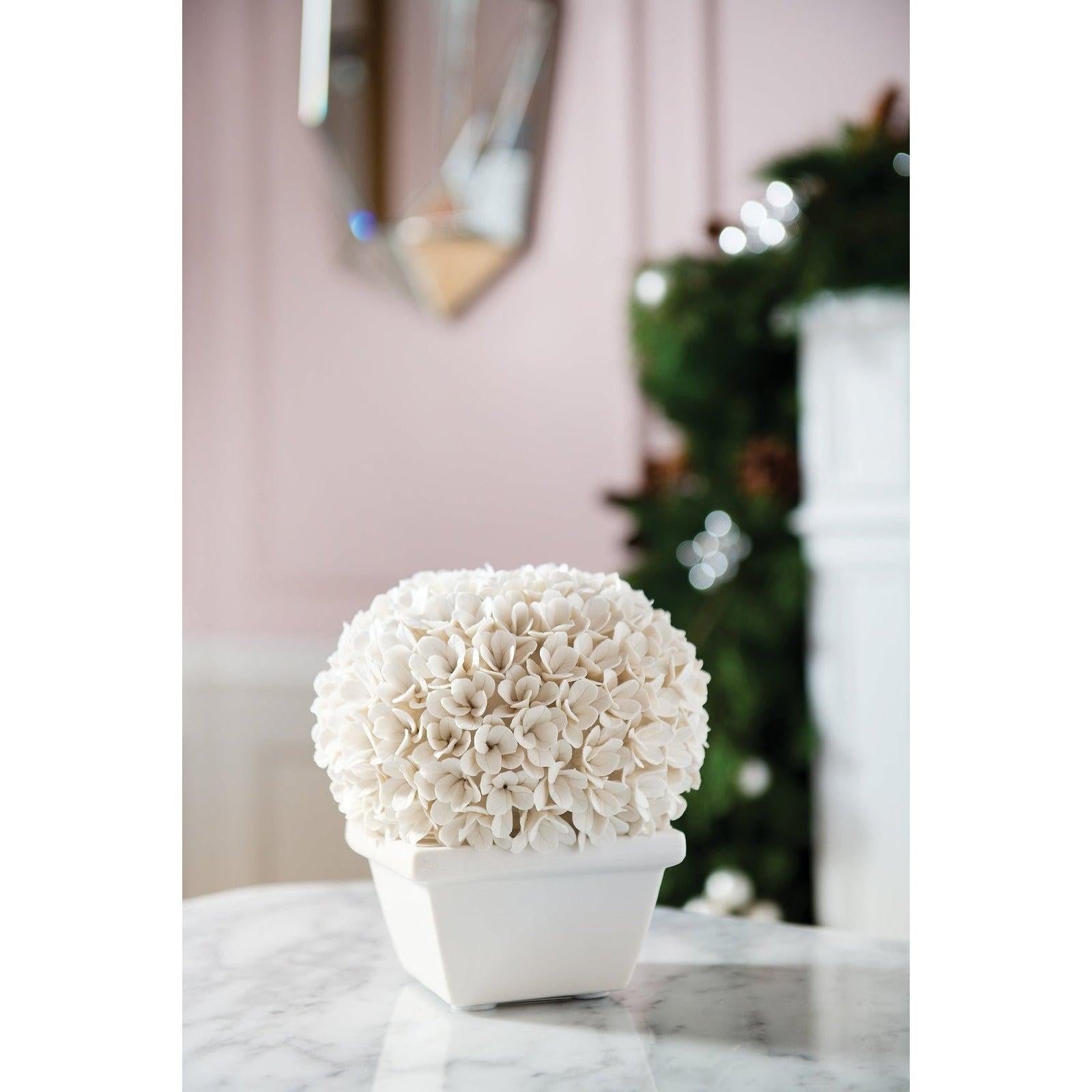 Villa & House Boston Round Boxwood Topiary by Bungalow 5