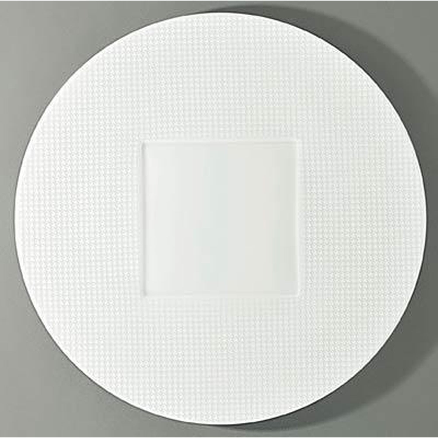 Raynaud Checks Round Buffet Plate Square Center