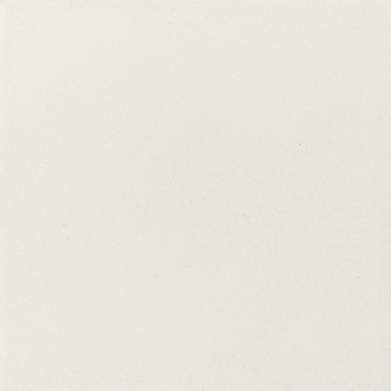 Caracole Classic Past Reflections Mirror