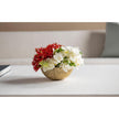 Villa & House Coral Bowl by Bungalow 5