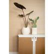 Villa & House Cambria Vase by Bungalow 5