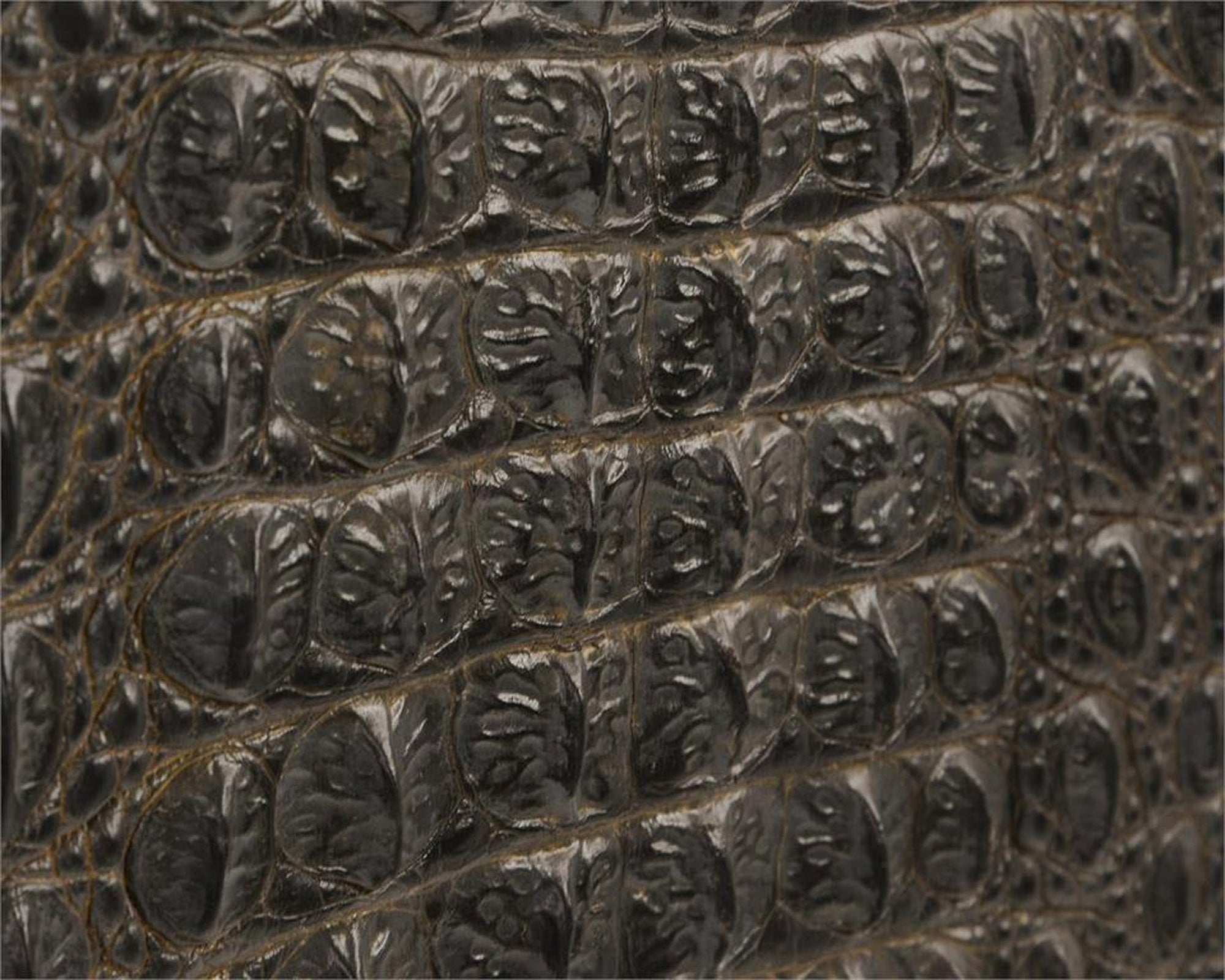 John Richard Greystoke Cabinet