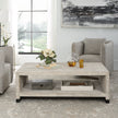 Uttermost Bosk White Washed Coffee Table