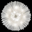 Fine Art Diamantina 42