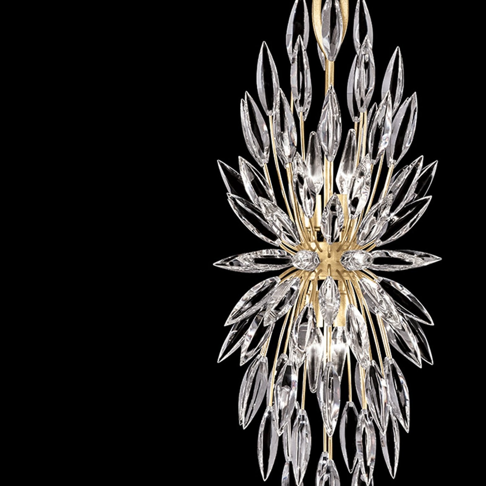 Fine Art Lily Buds 13