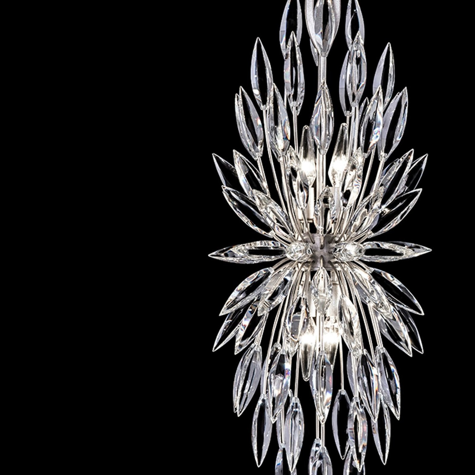 Fine Art Lily Buds 13