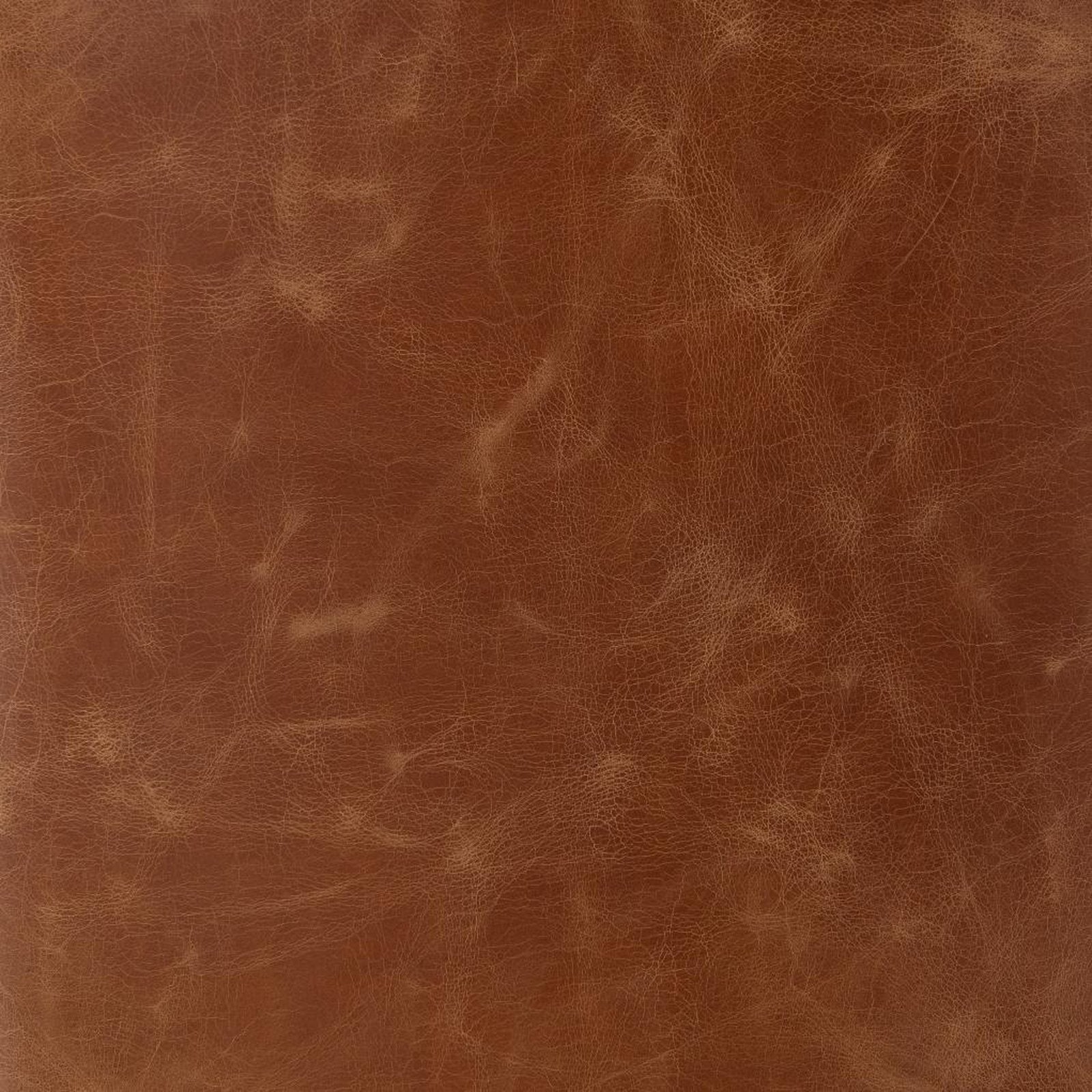 Four Hands Aria Dining Chair