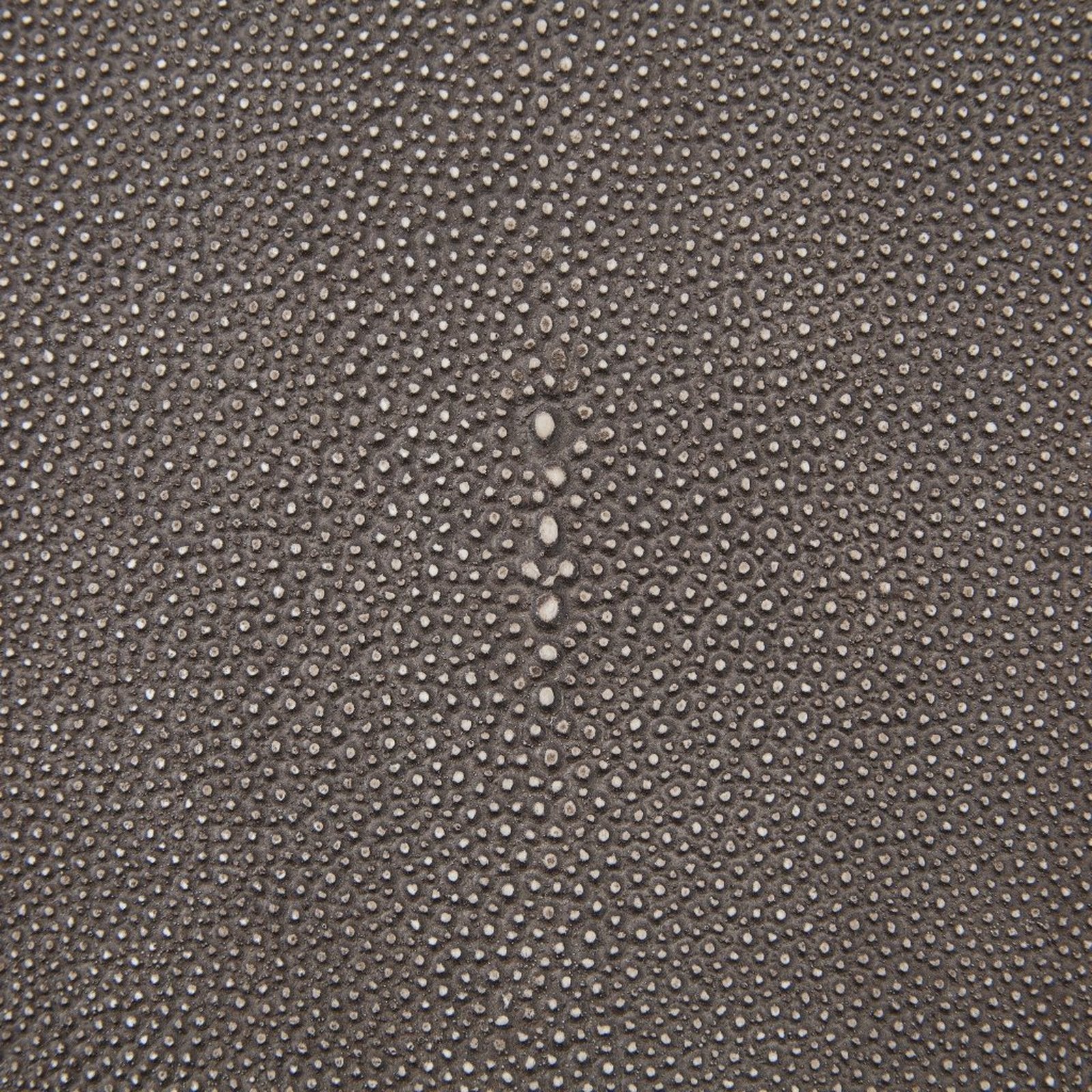 Four Hands Shagreen Desk