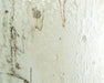 John Richard Mark Mcdowell'S Gilded Ivory Wall Art