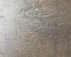 John Richard Mark Mcdowell'S Veil Wall Art