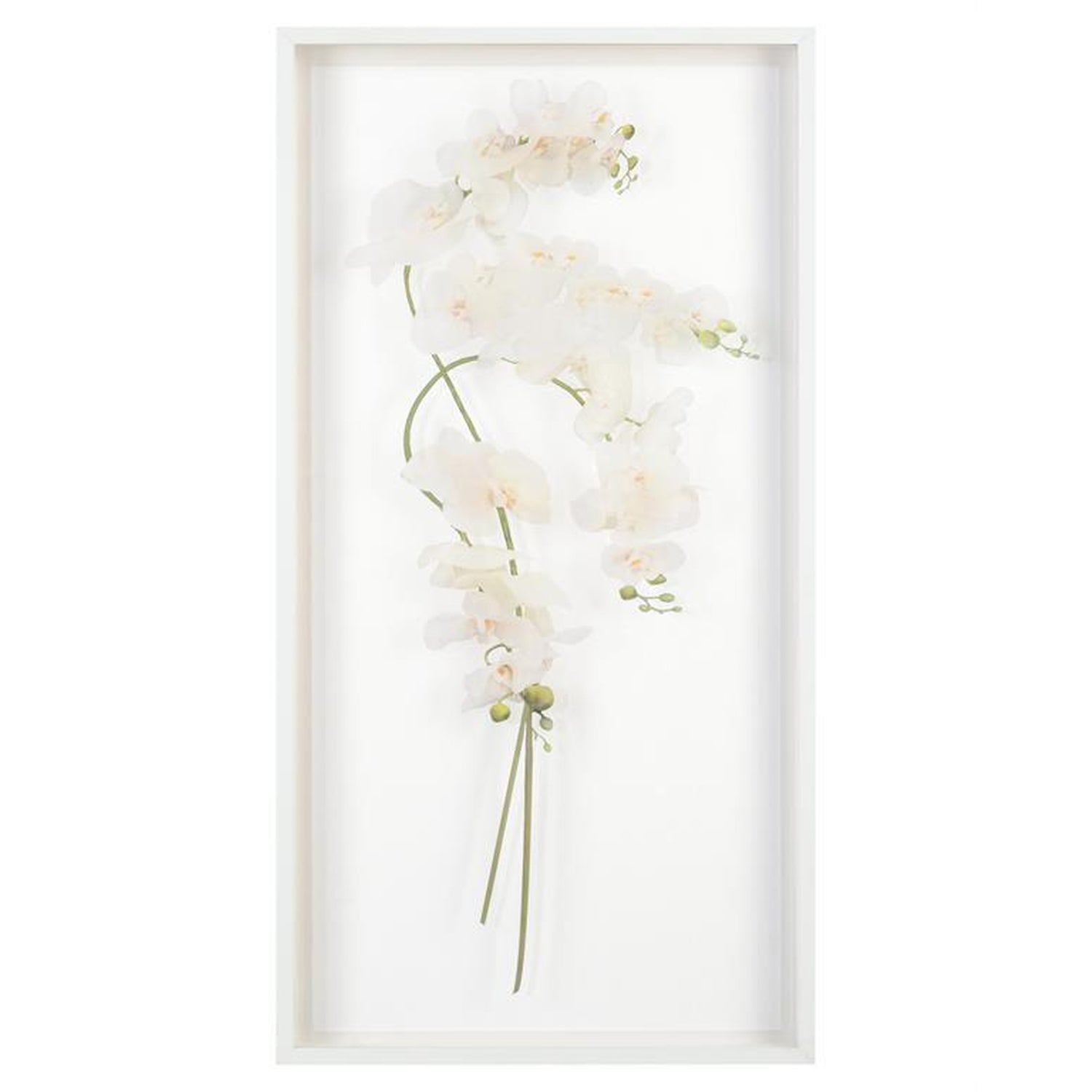 John Richard Study Of Orchids Wall Art