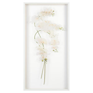 John Richard Study Of Orchids Wall Art