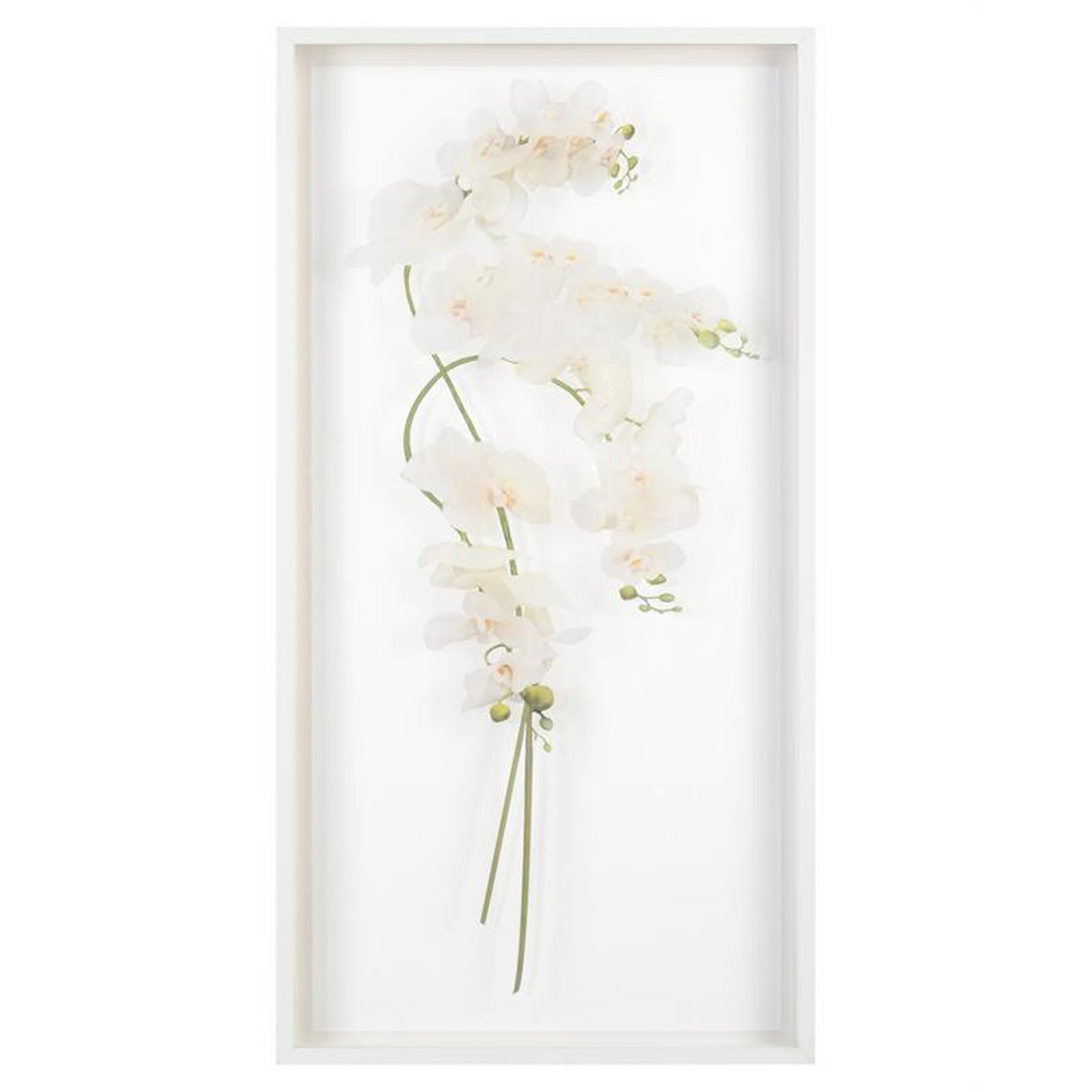John Richard Study Of Orchids Wall Art