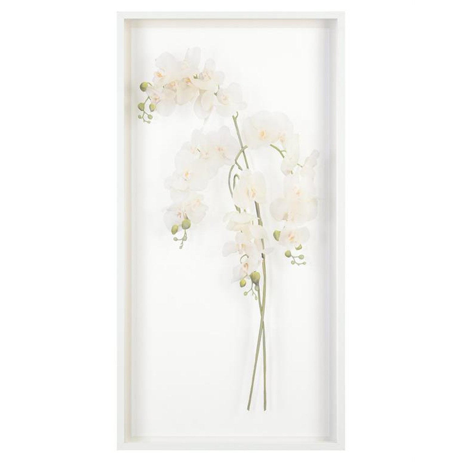 John Richard Study Of Orchids Wall Art