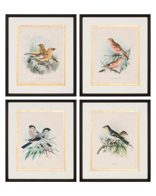 John Richard Antique Birds I Wall Art
