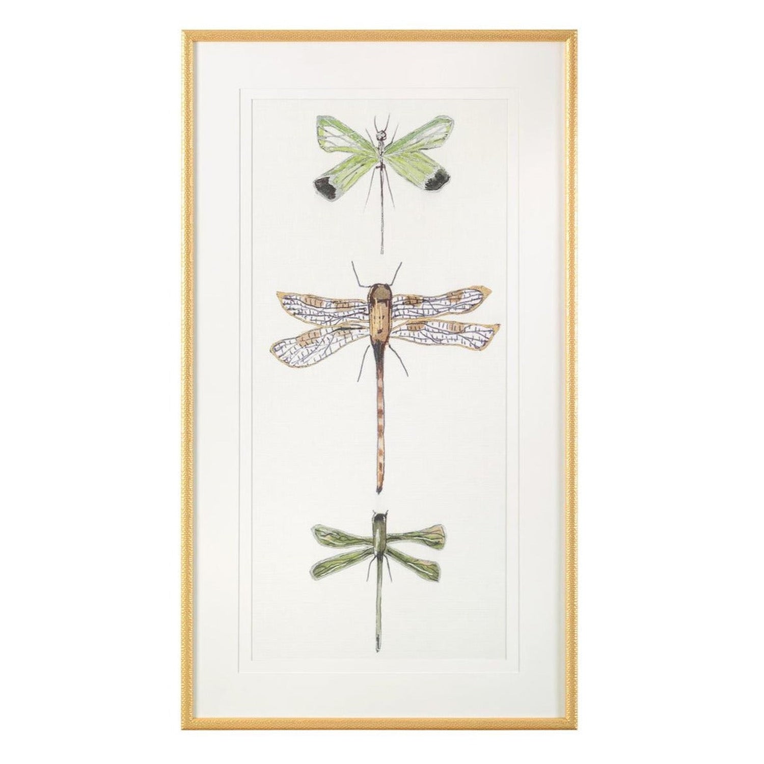 John Richard Joy Colangelo'S Joyful Dragonflies Wall Art