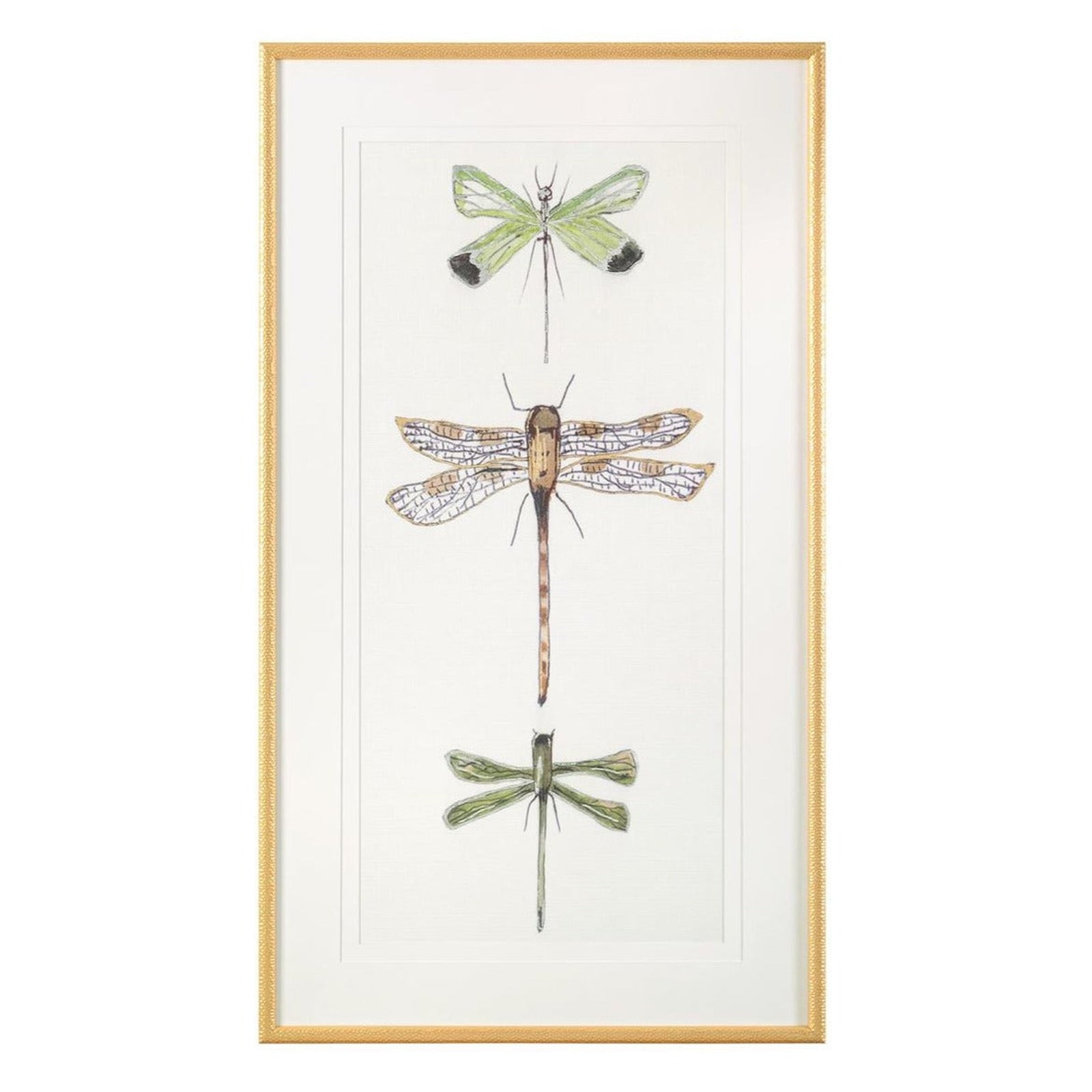 John Richard Joy Colangelo'S Joyful Dragonflies Wall Art