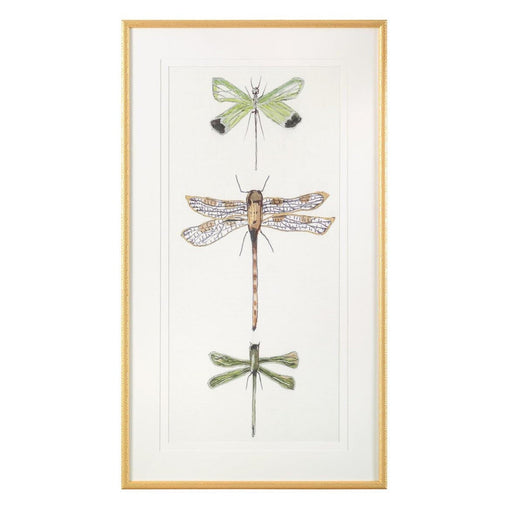 John Richard Joy Colangelo'S Joyful Dragonflies Wall Art