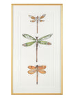 John Richard Joy Colangelo'S Joyful Dragonflies Wall Art