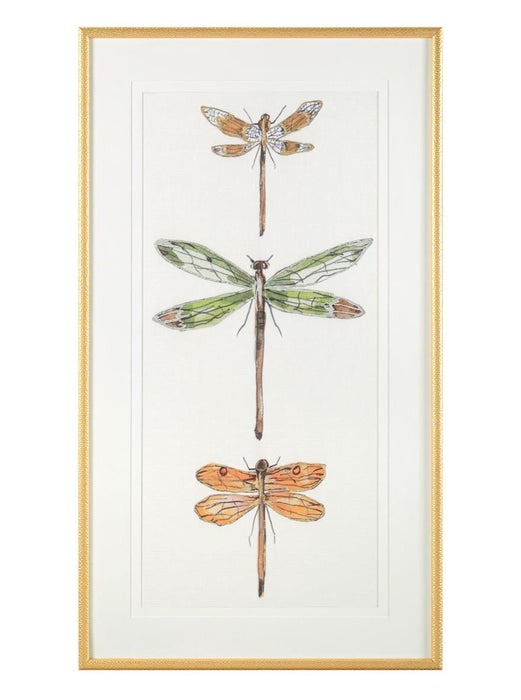 John Richard Joy Colangelo'S Joyful Dragonflies Wall Art