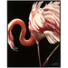John Richard Annie Moran'S Flamingo Ii Wall Art
