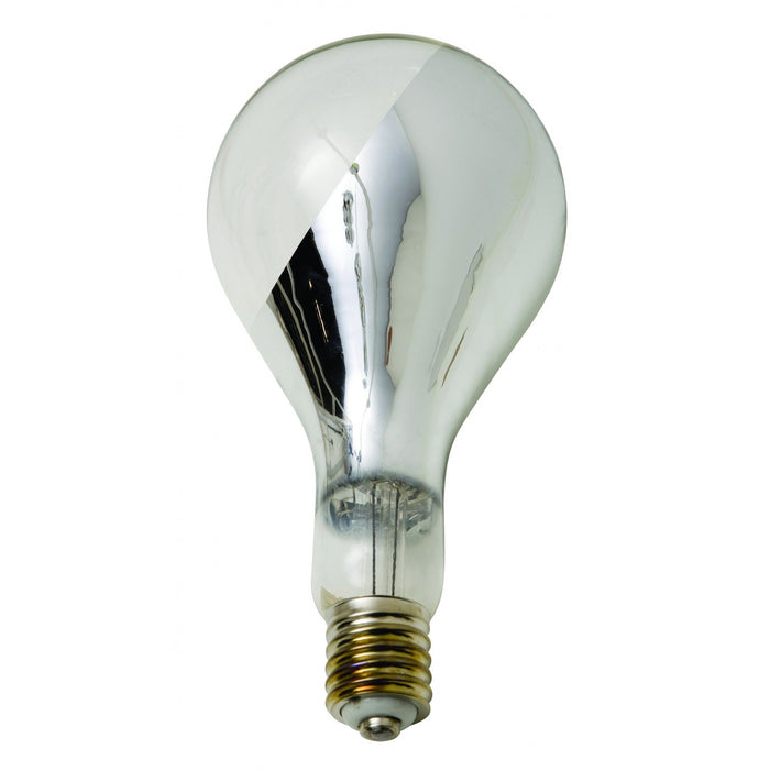 Nuevo Big Base Light Bulb