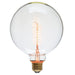 Nuevo G125 60 Anchors 40W Light Bulb