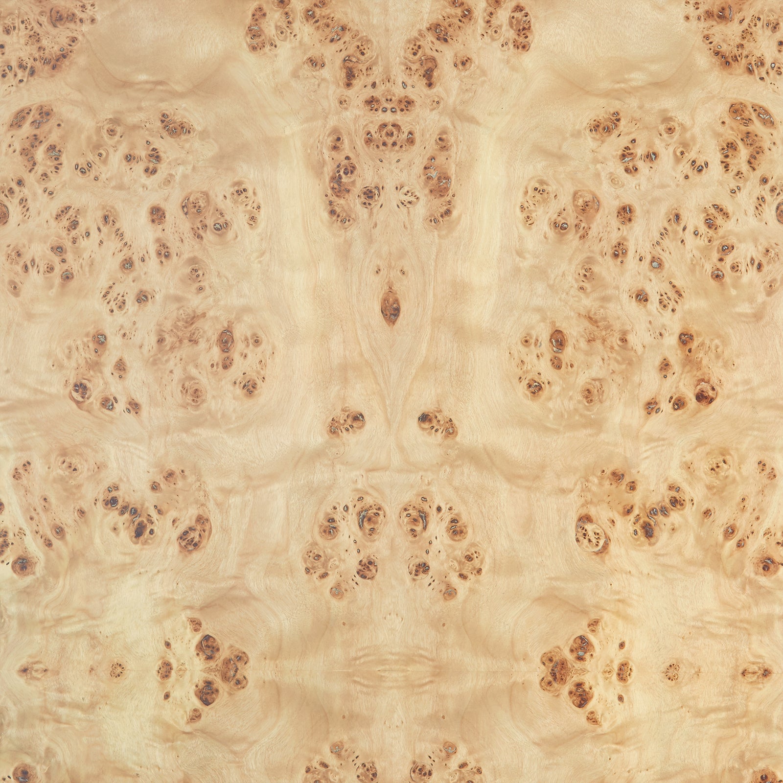 Villa & House Helena Burl Wood Desk by Bungalow 5