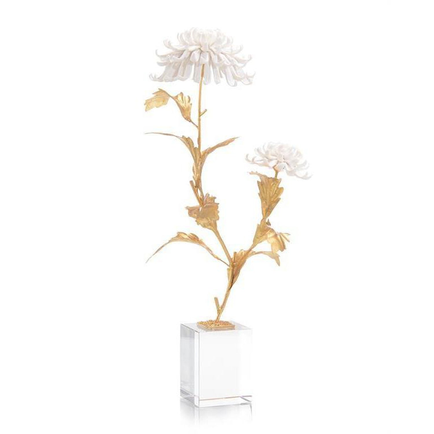 John Richard Avignon Chrysanthemums
