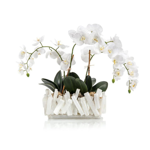 John Richard Selenite Orchids