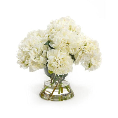 John Richard White Hydrangeas - 4180