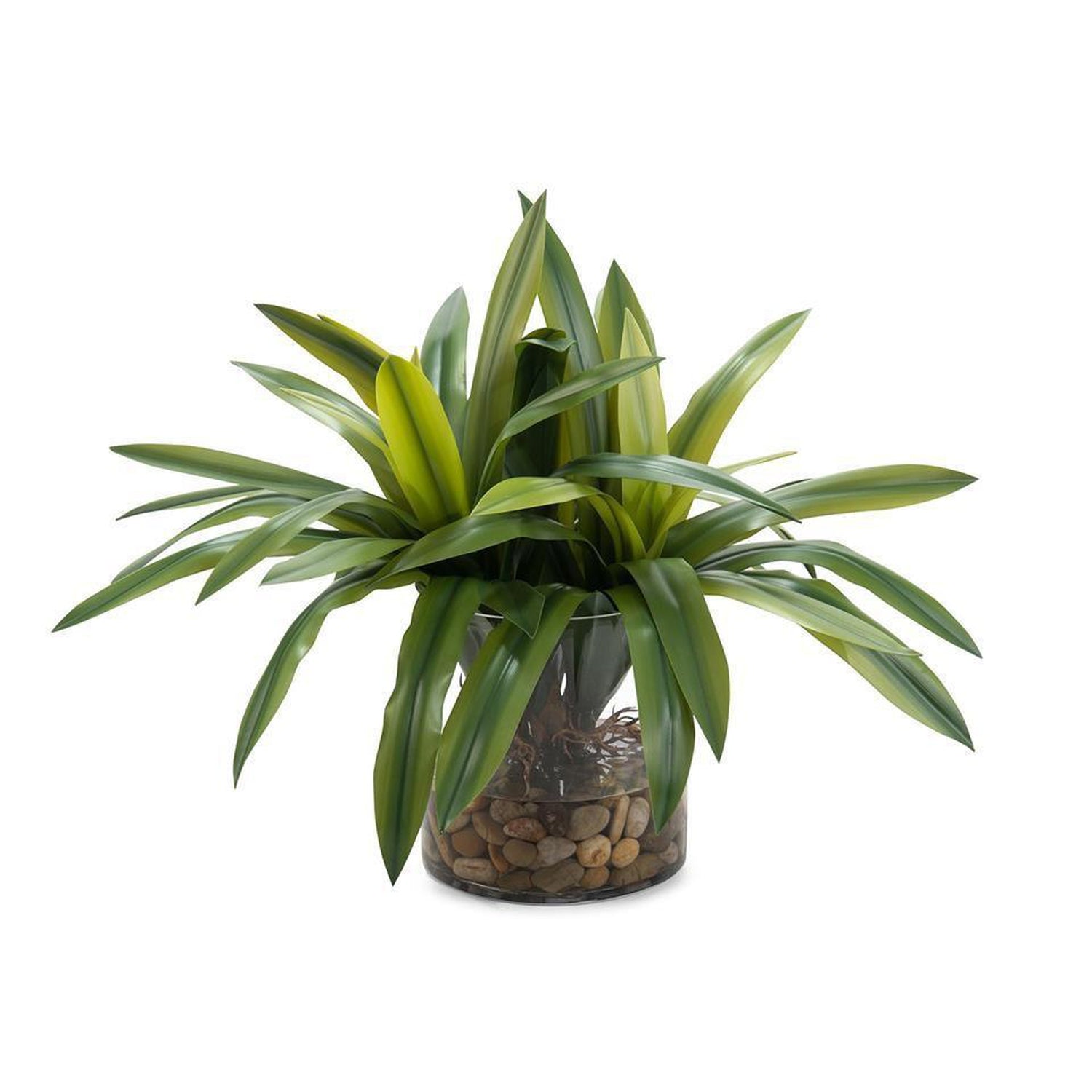 John Richard Real-Touch Yucca