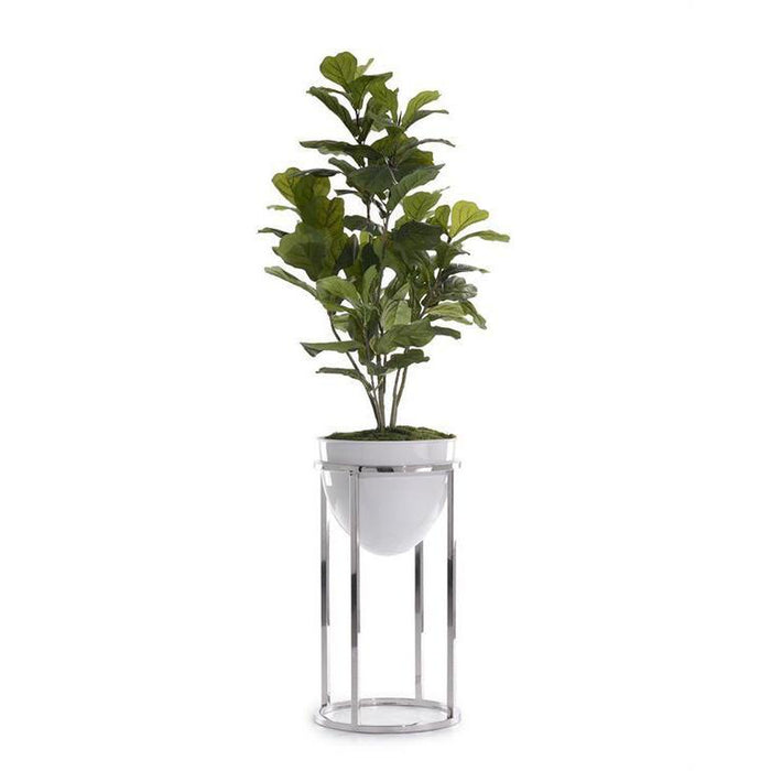 John Richard Green Fiddle-Leaf Fig Tree With Silver Stand