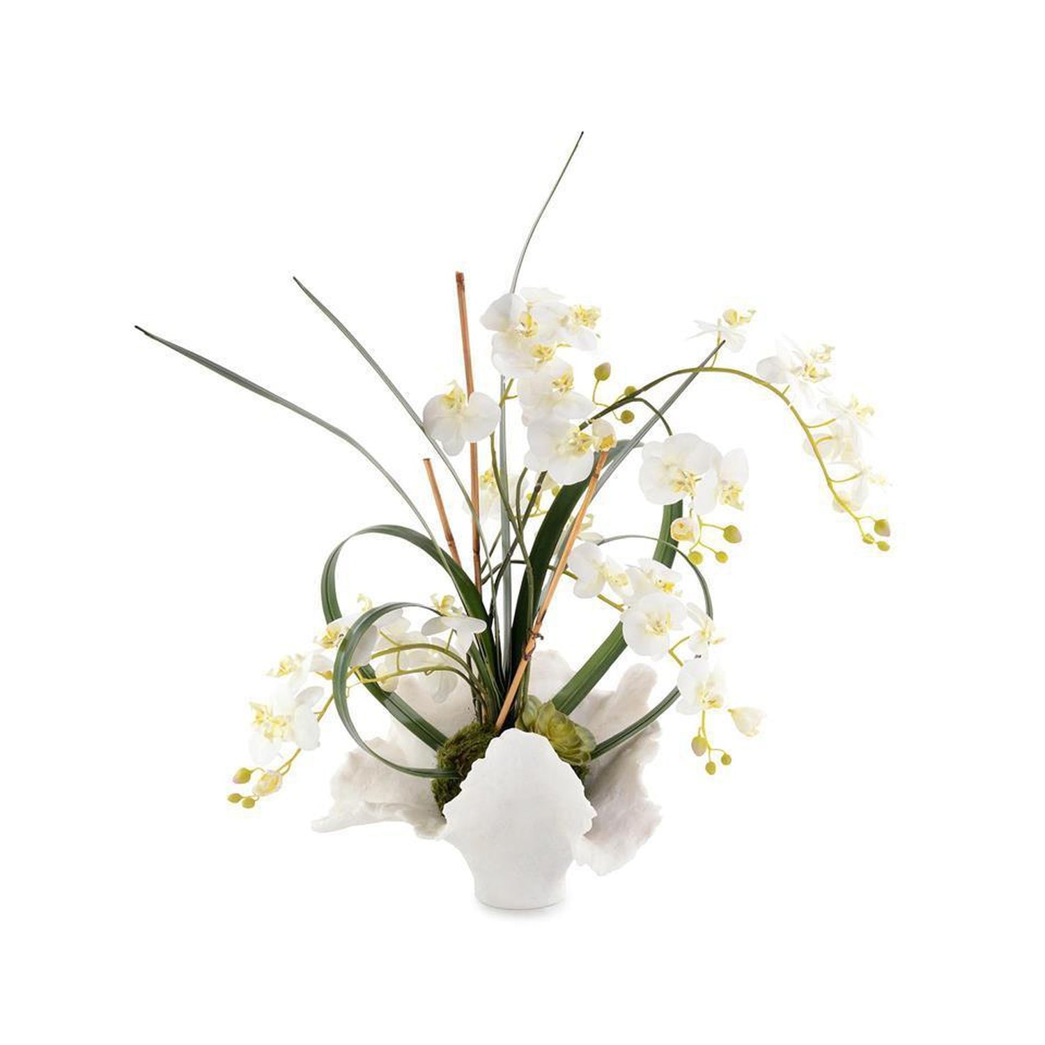 John Richard White Orchids - 4445