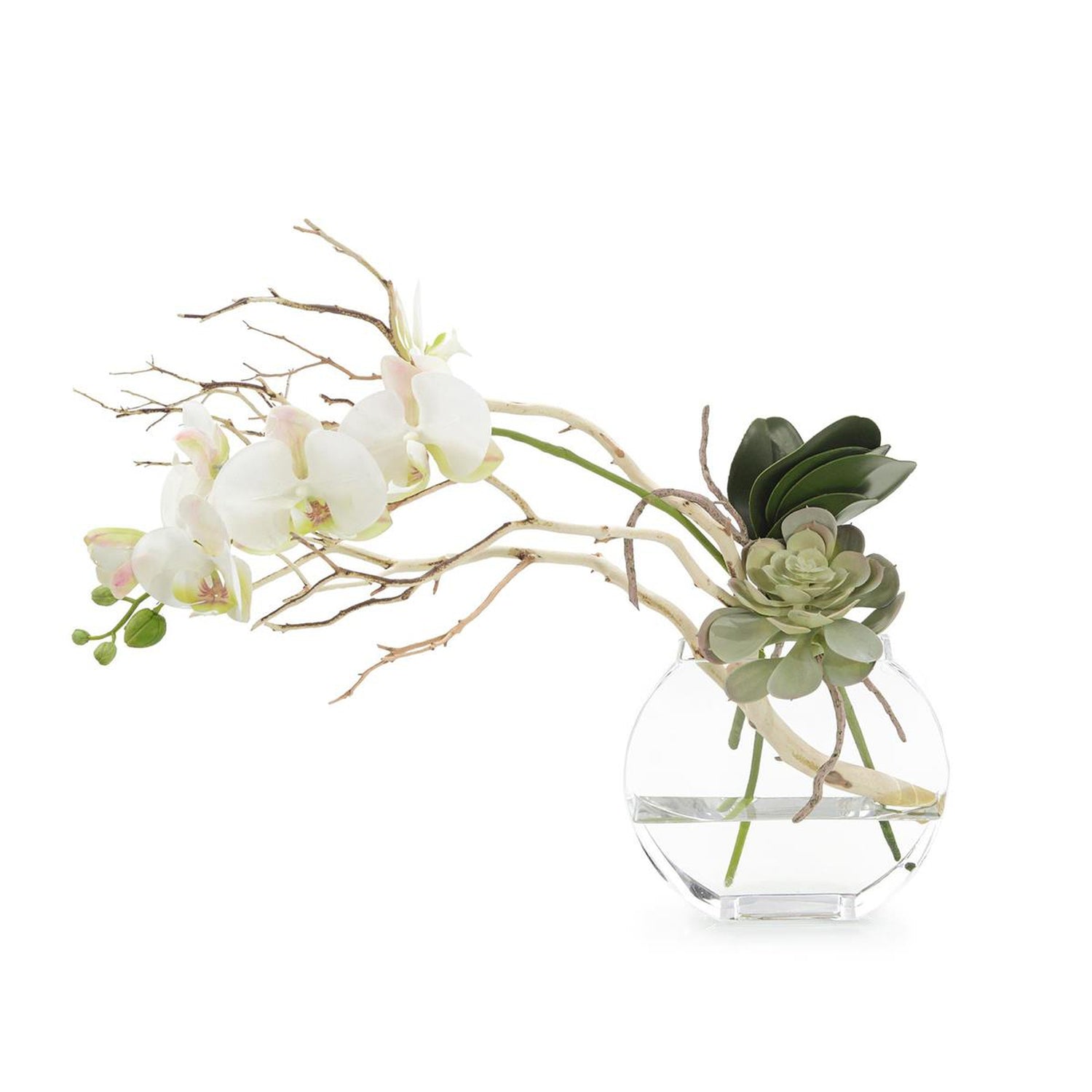 John Richard Blushing Pink Orchid