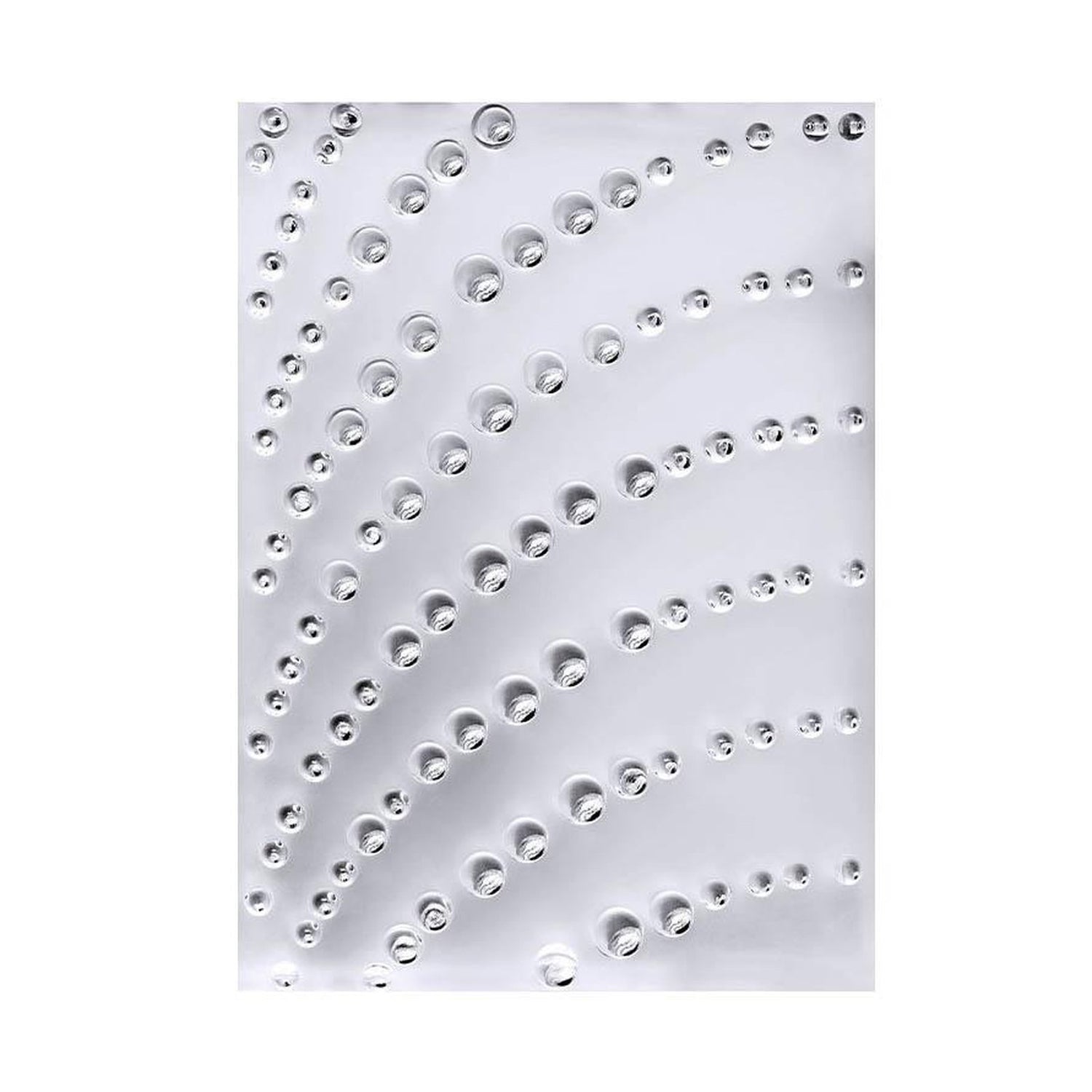 Lalique Coutard Decorative Panel