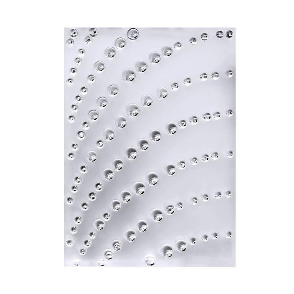 Lalique Coutard Decorative Panel