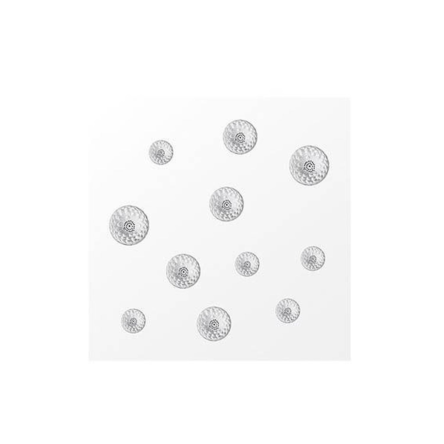 Lalique Dahlia Interior Panel Medium