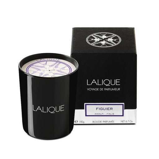 Lalique Fig Tree Amalfi - Italy Scented Candle