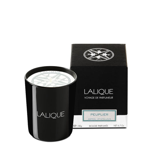Lalique Poplar, Aspen - United States Scented Candle