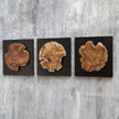 Uttermost Kolini Teak Wood Wall Decor - Set of 3