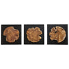 Uttermost Kolini Teak Wood Wall Decor - Set of 3