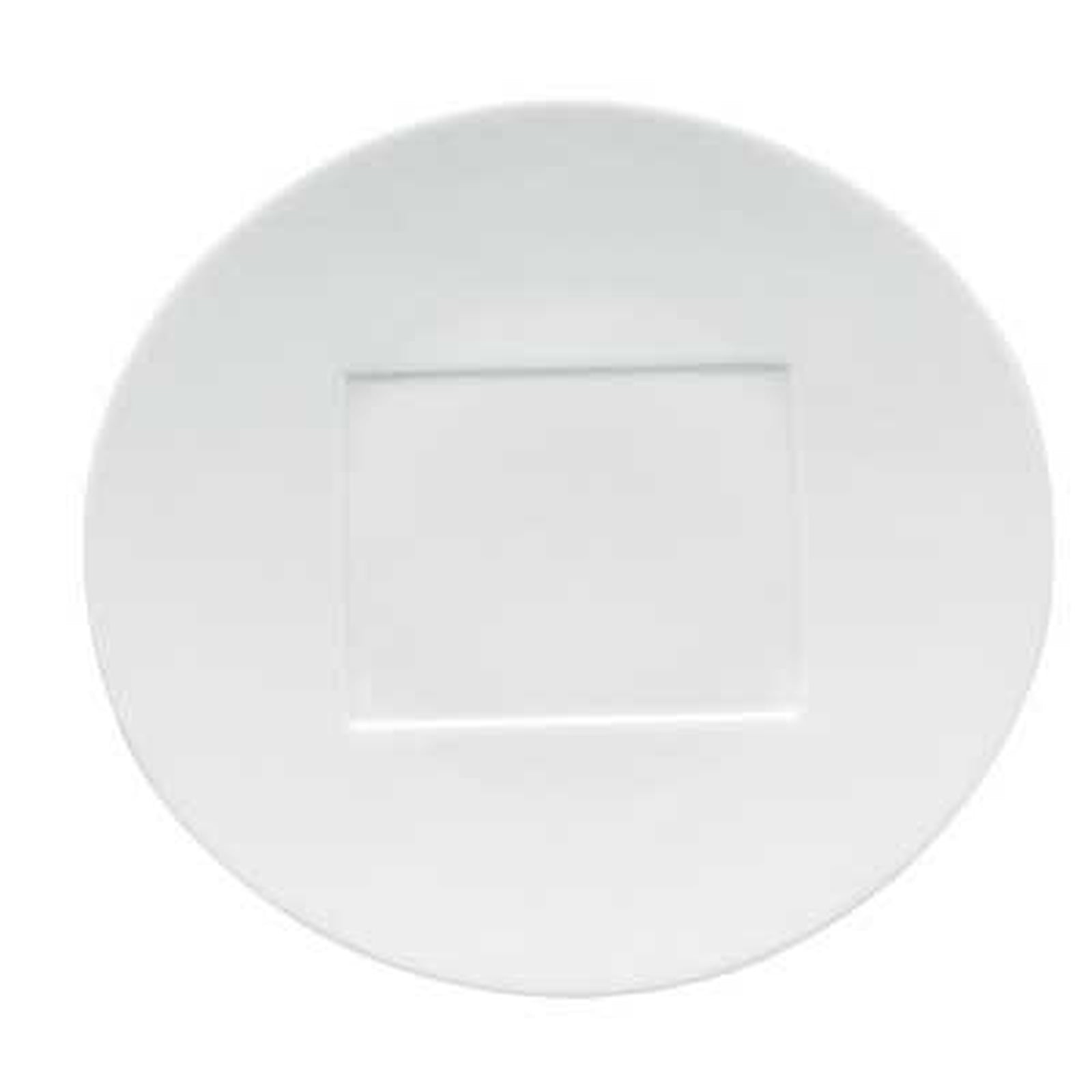 Raynaud Hommage Oval Presentation Plate Rectangular Center
