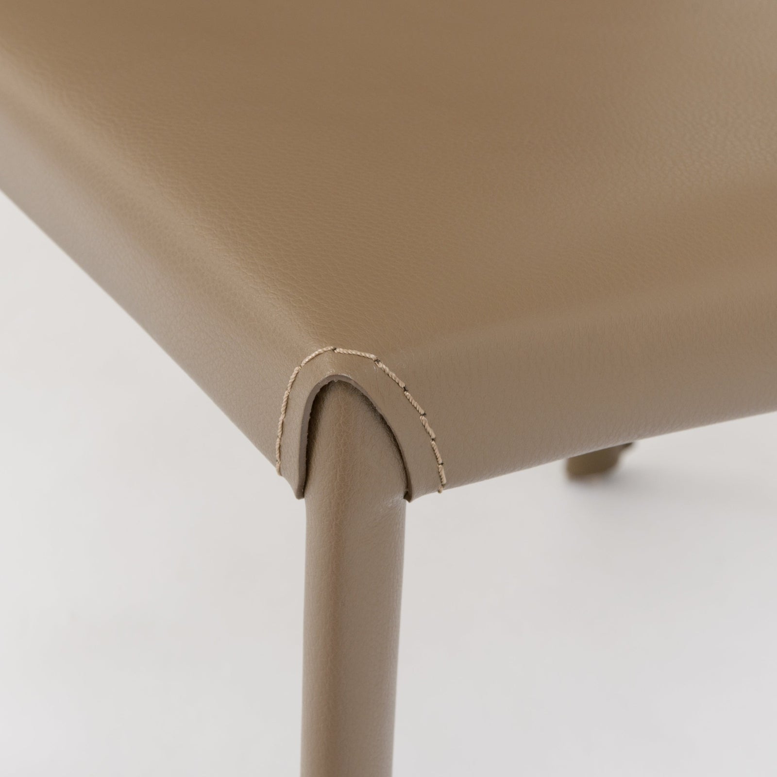 Euro Style Hasina Side Chair - Set of 2