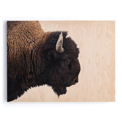 American Bison-Maple Box 60"X40"