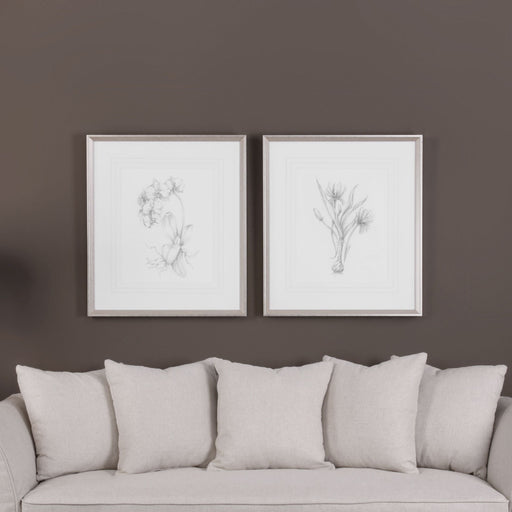 Uttermost Botanical Sketches Framed Prints - Set of 2