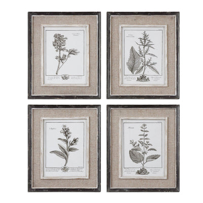 Uttermost Casual Grey Study Framed Art - Set of 4