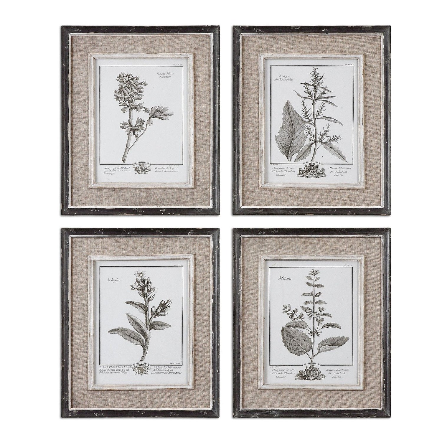 Uttermost Casual Grey Study Framed Art - Set of 4