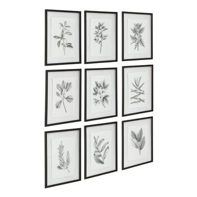 Uttermost Farmhouse Florals Framed Prints - Set of 9